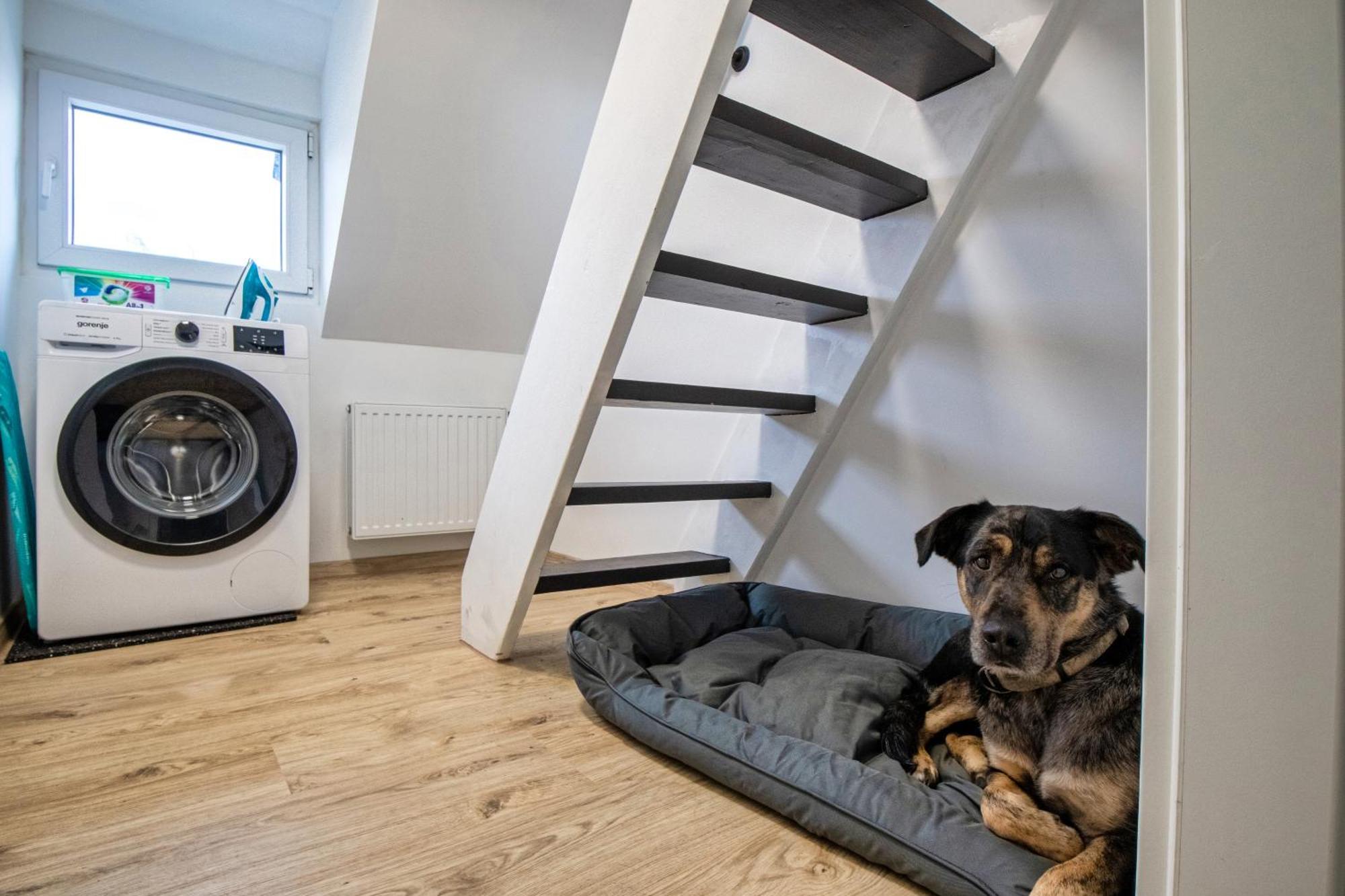 110 Qm Penthousewohnung Bei Bonn / Koeln Ломар Екстериор снимка